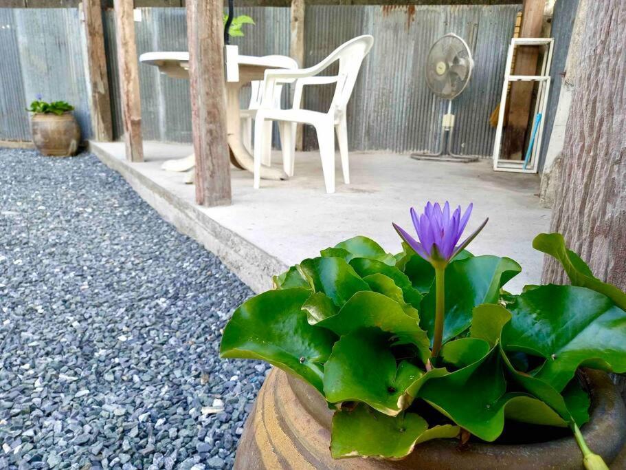 Grandma'S House Villa Chiang Mai Bagian luar foto